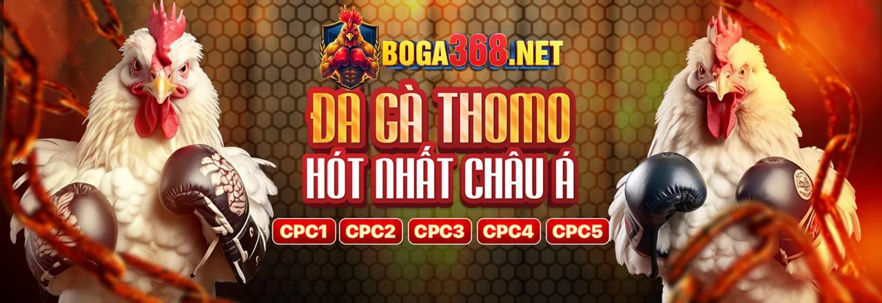 Đá gà trực tuyến kịch tính tại Bet188 Link